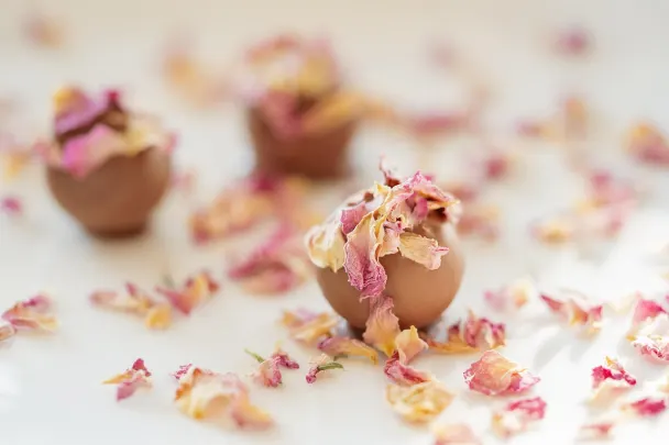 קזינו גנריישן וי.איי.פי אפליקציית Android/iOS